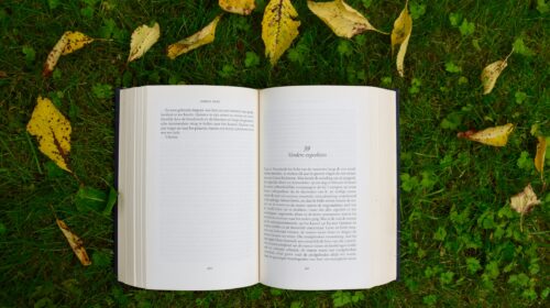 romanzo non di genere