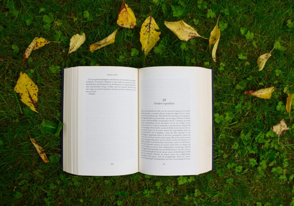 romanzo non di genere